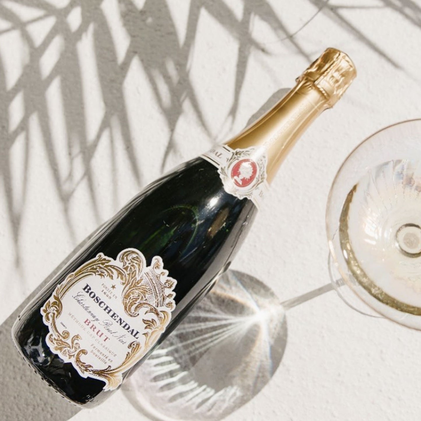 Méthode Cap Classique Brut NV Boschendal