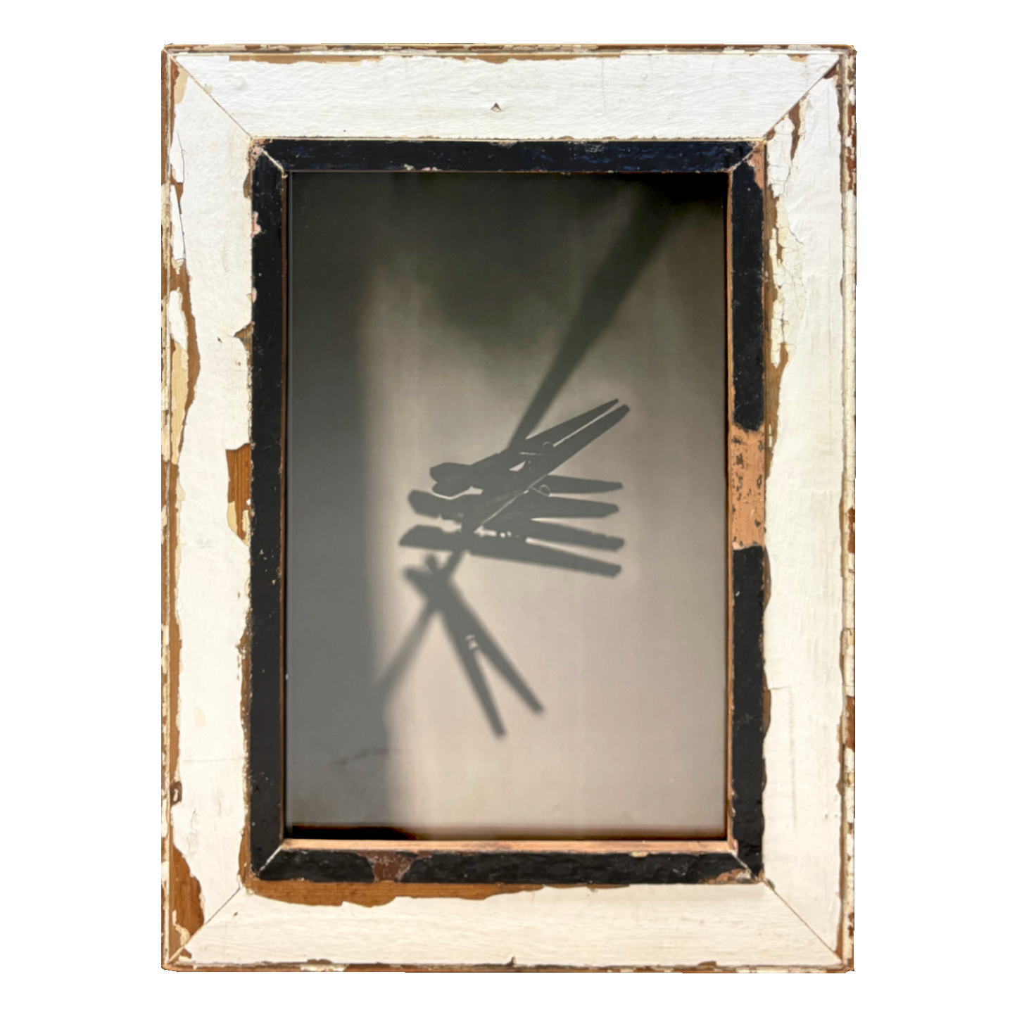 Cornice 30x40 bianca e nera Cape Best