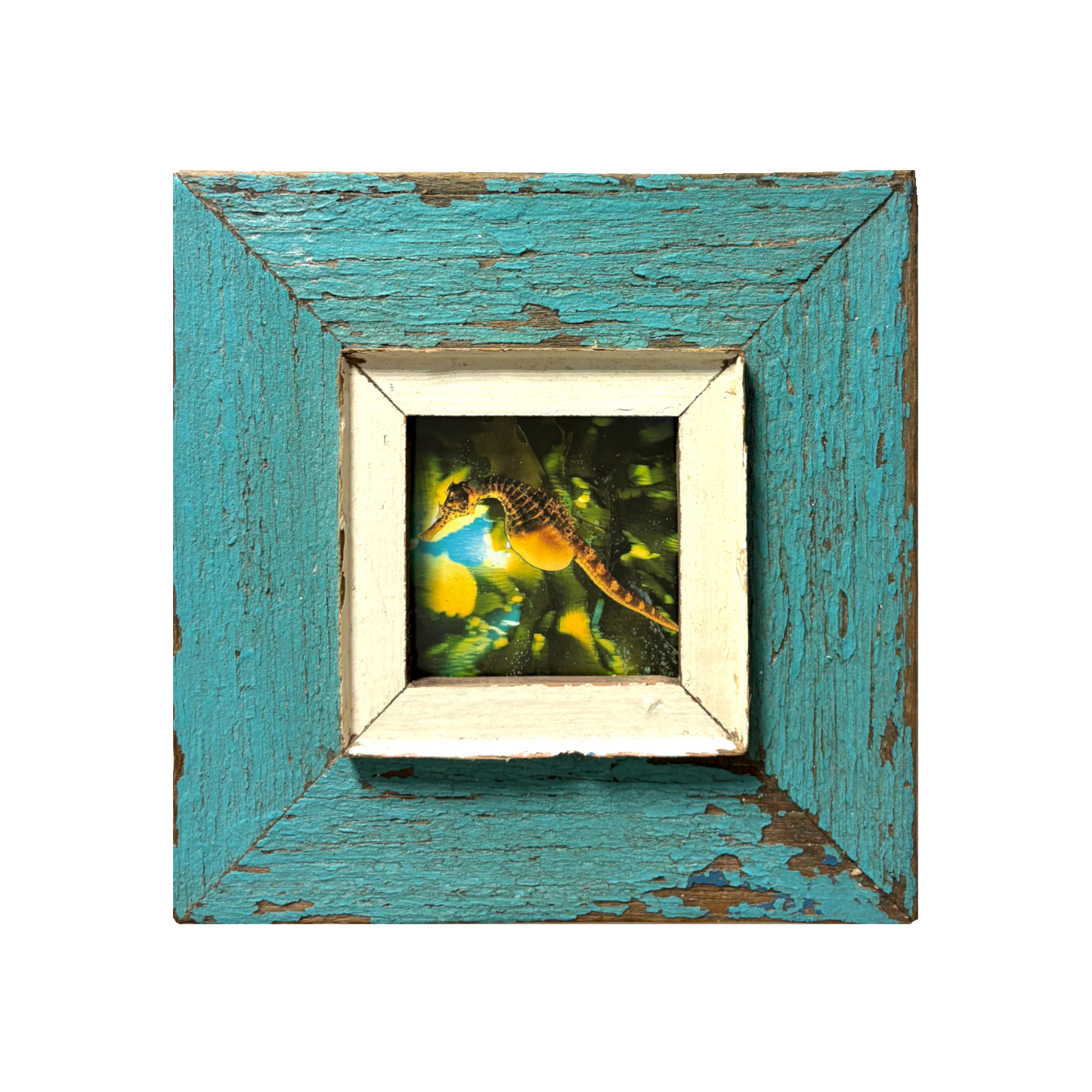 Cornice "Natura e colore" in legno d'epoca