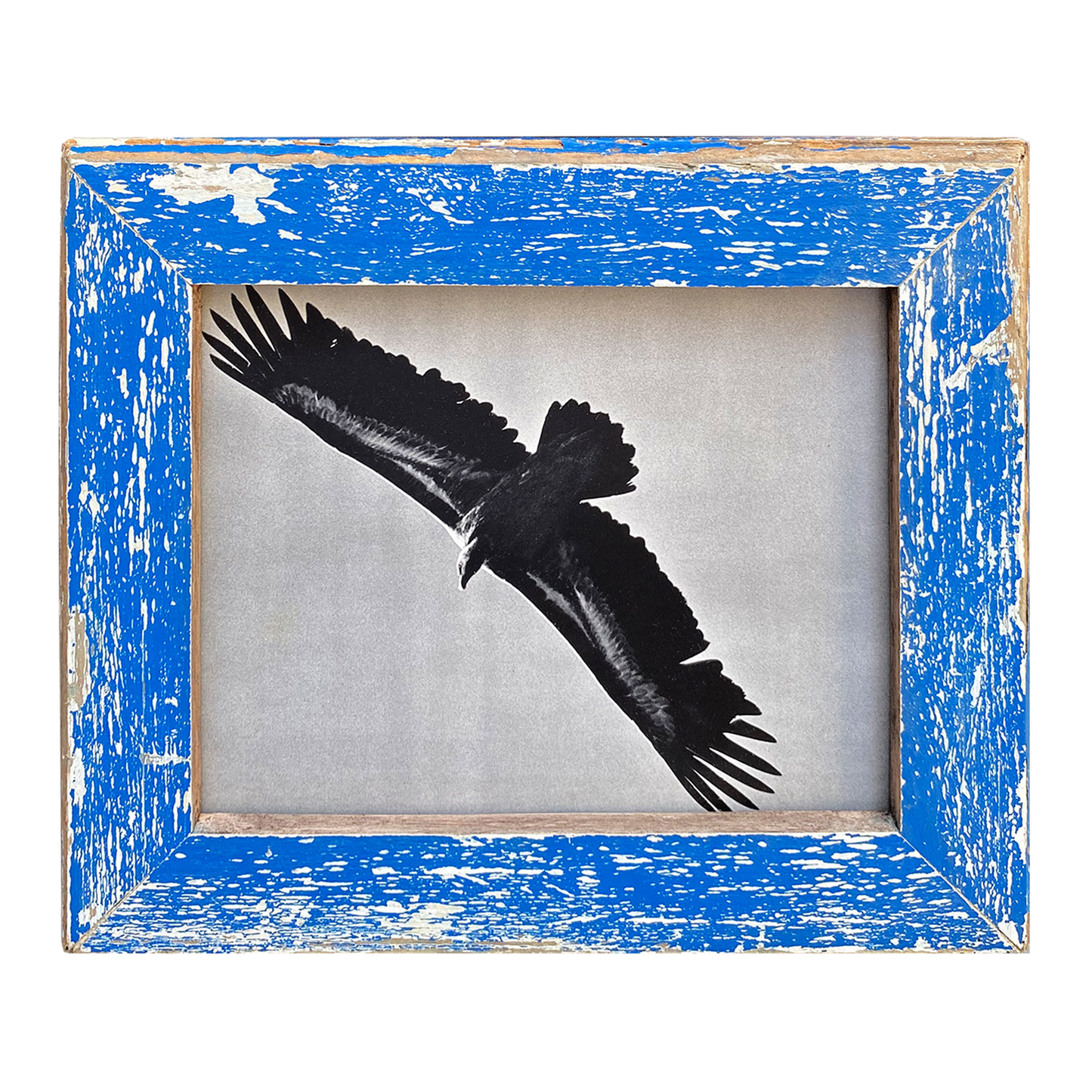 Cornice blu 28×33 per ritratti e disegni