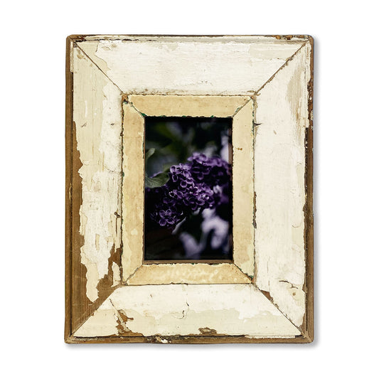 Cornice unica 10x15 interno. Immagine fiori viola