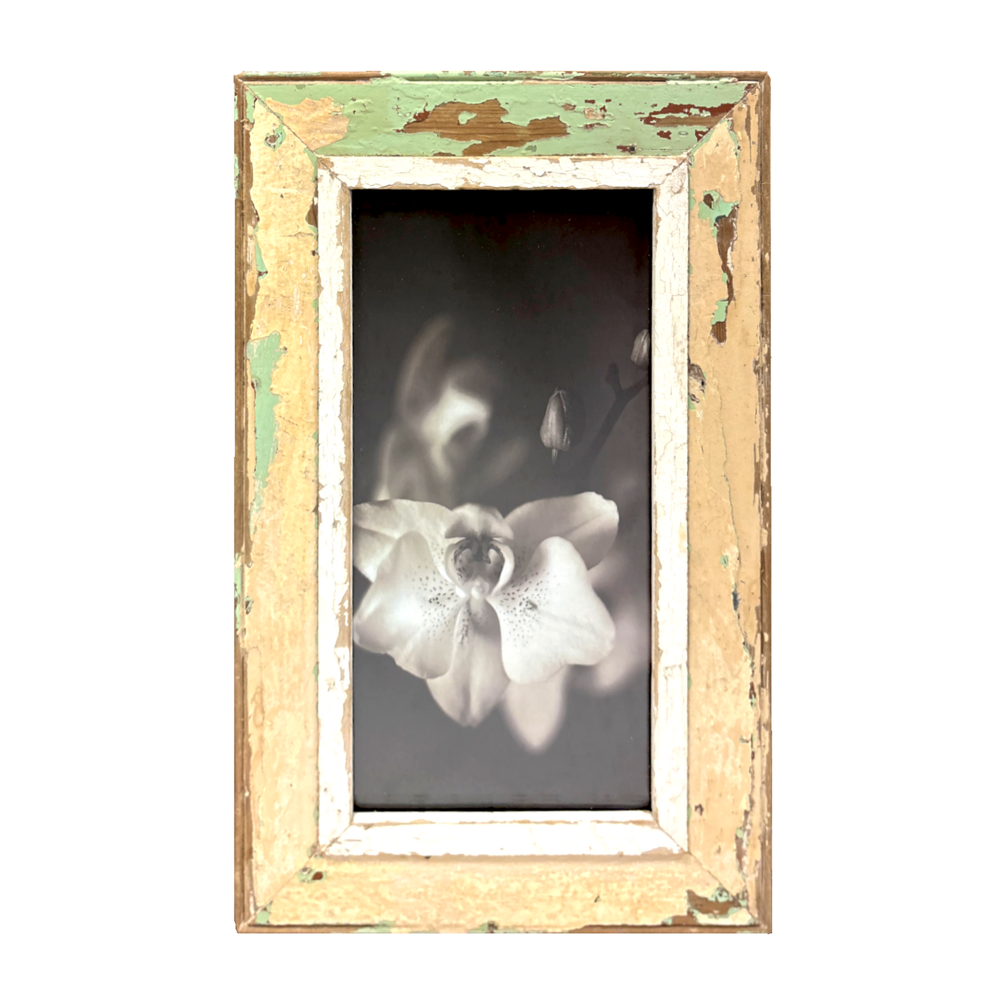 Cornice rettangolare "Orchidea da vicino" 34 × 55 cm