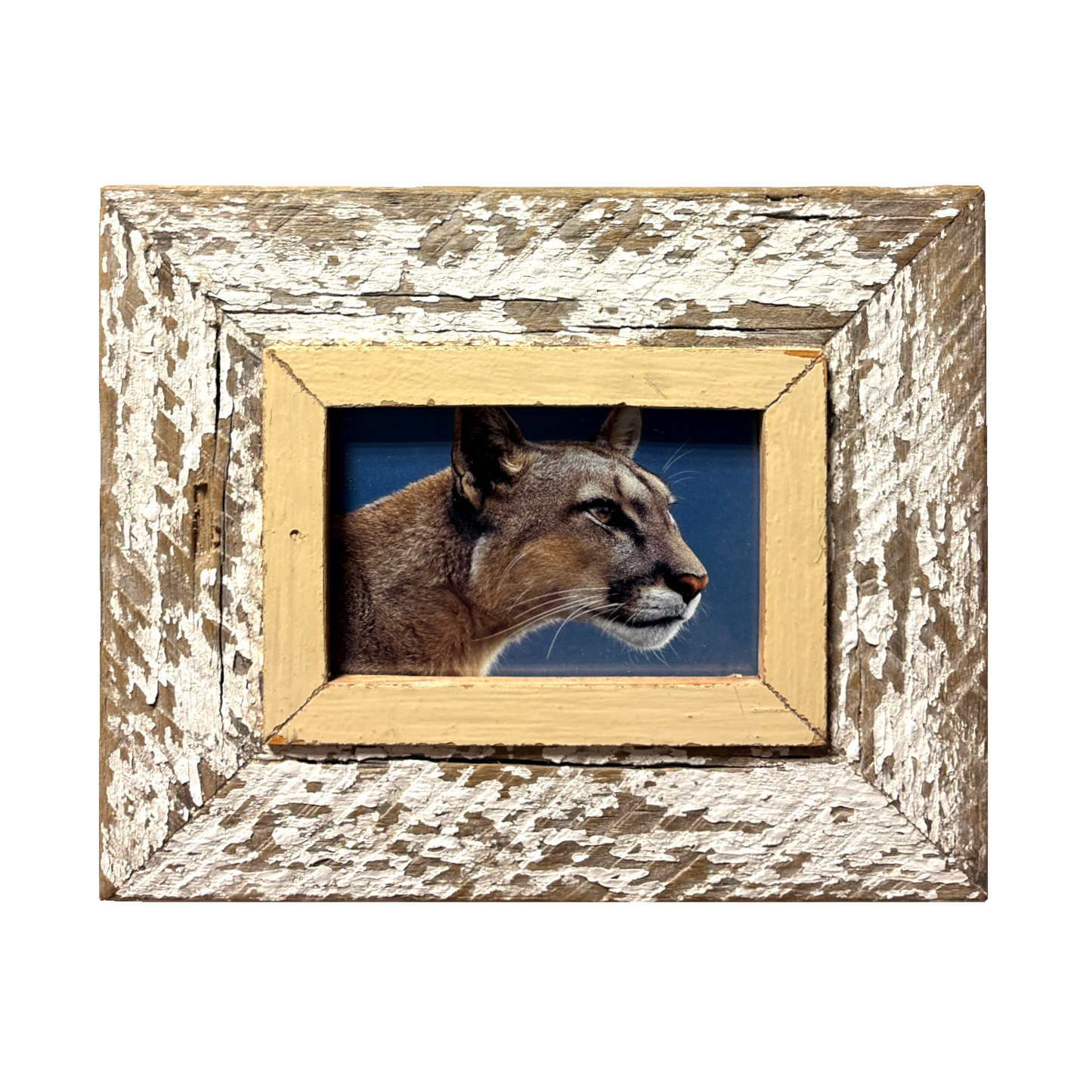 Cornice rustica per immagini 10x15 Cape Best