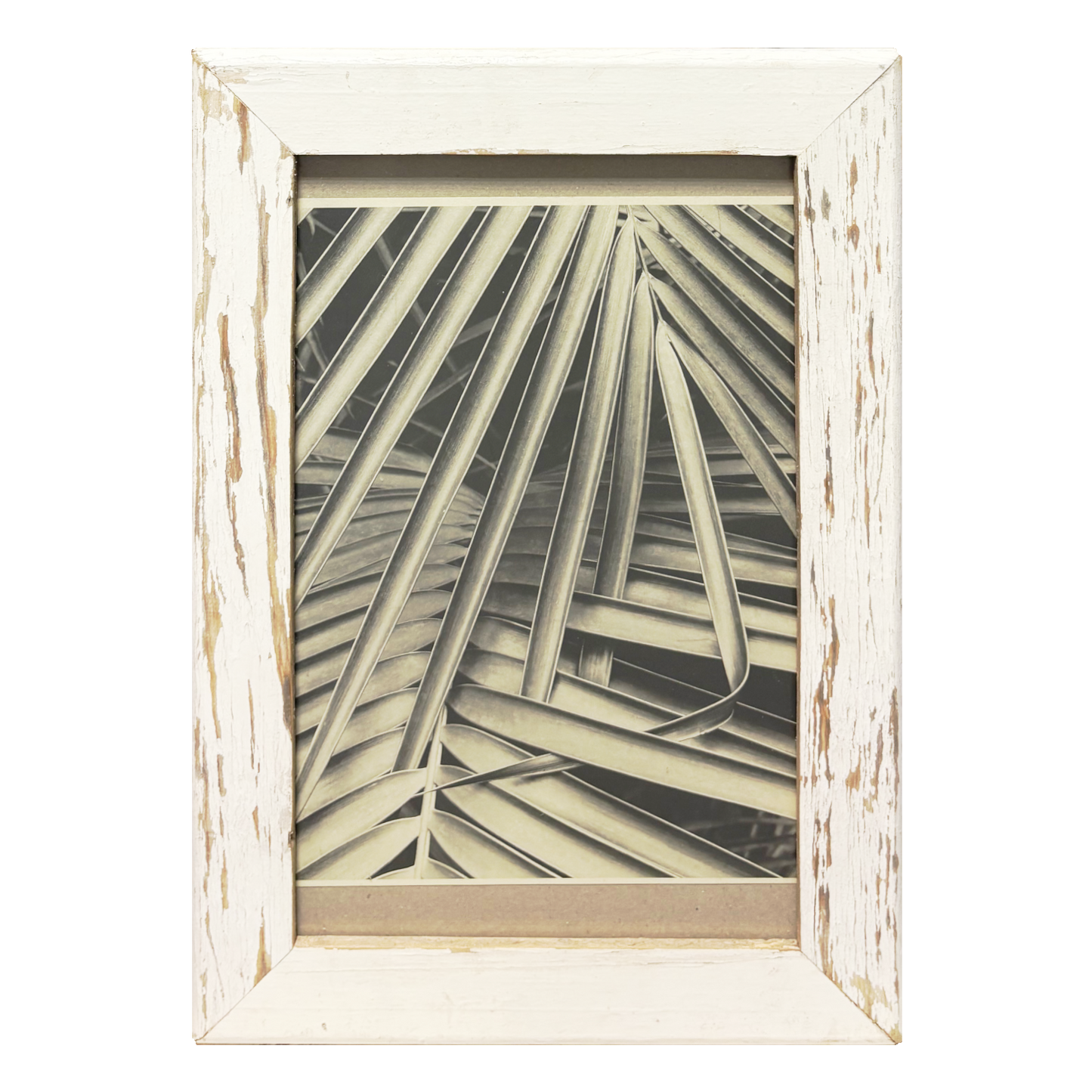 Geometrie Botaniche - Cornice Wabi Sabi legno antico
