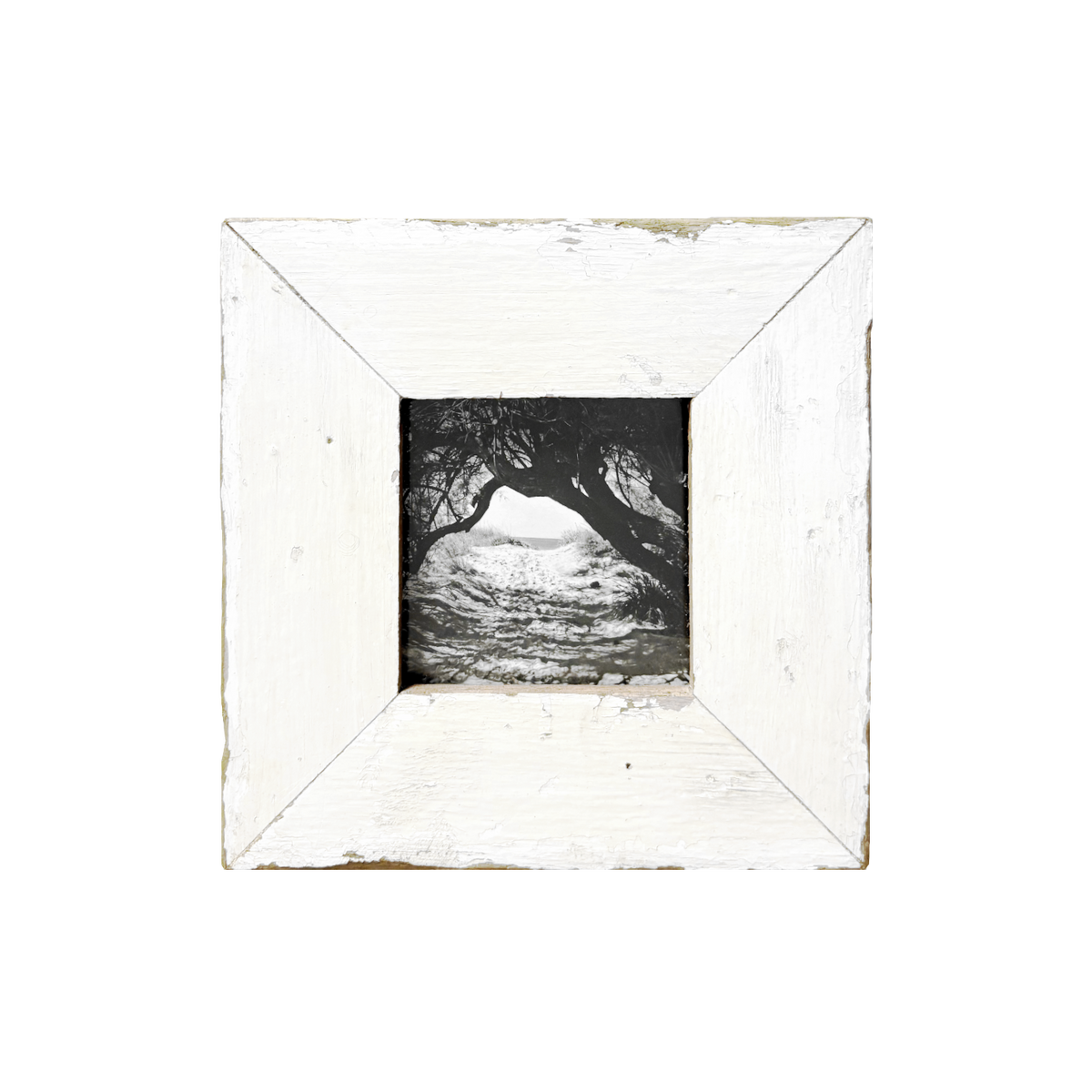 Opera Industrial "La Soglia": cornice quadrata in legno recuperato bianco 18×18 cm, fotografia in bianco e nero di accesso alla spiaggia con arbusti ad arco