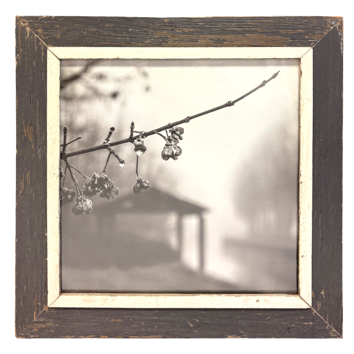 Fotografia B&W "Margine d'Acqua": ramoscello in primo piano con gocce d'acqua sospese, sfondo paesaggio fluviale con capanno e alberi, incorniciata in legno naturale marrone con passe-partout bianco
