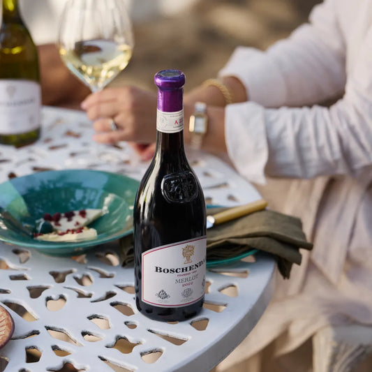 Boschendal Merlot 1685_Vino rosso del Sudafrica