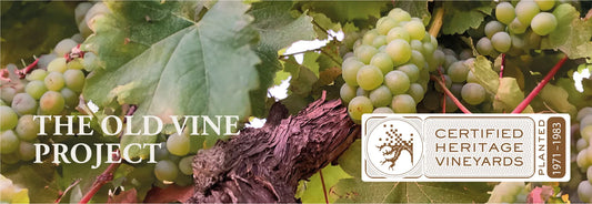 Certificazione Heritage Vineyards Sud Africa