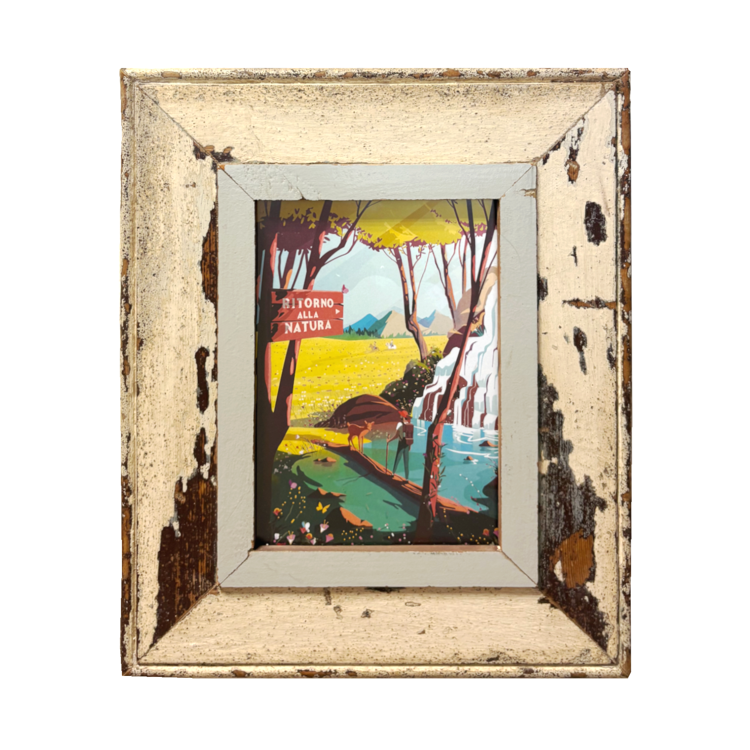 Cornici Cape Best con illustrazioni Giordano Poloni