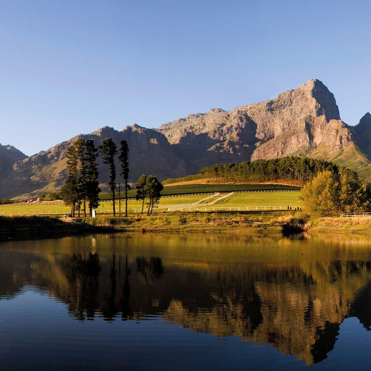 Bellingham Wine Estate