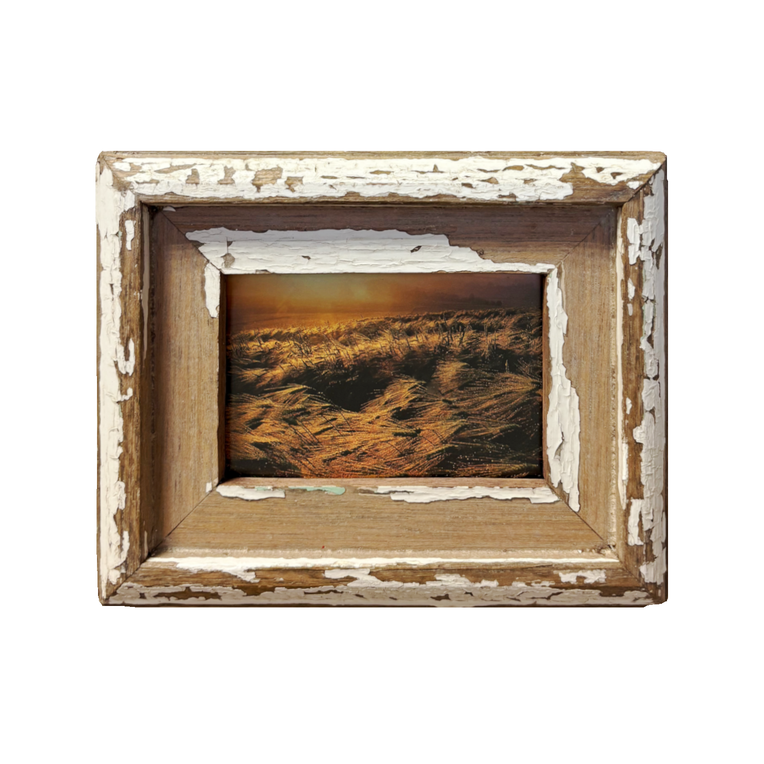 Abbondanza e fertilità — Cornice Rustico legno antico