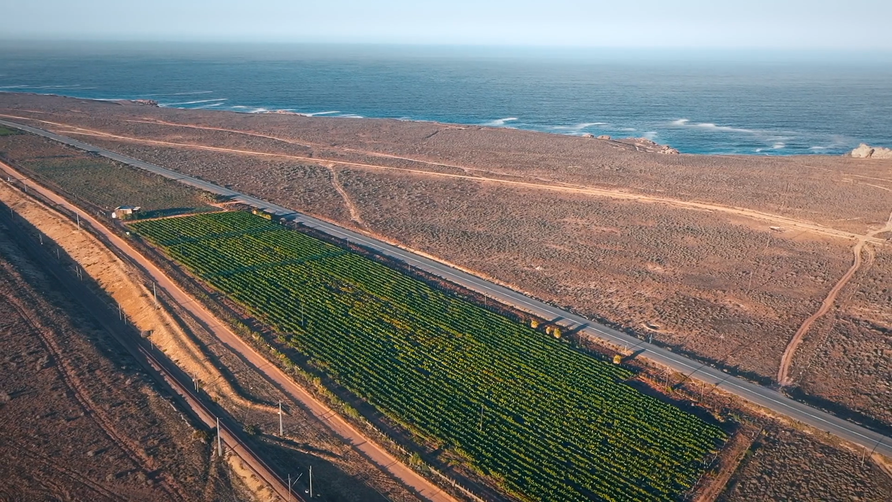 Video laden: Bamboes Bay: Weinberge in unmittelbarer Nähe zum Meer