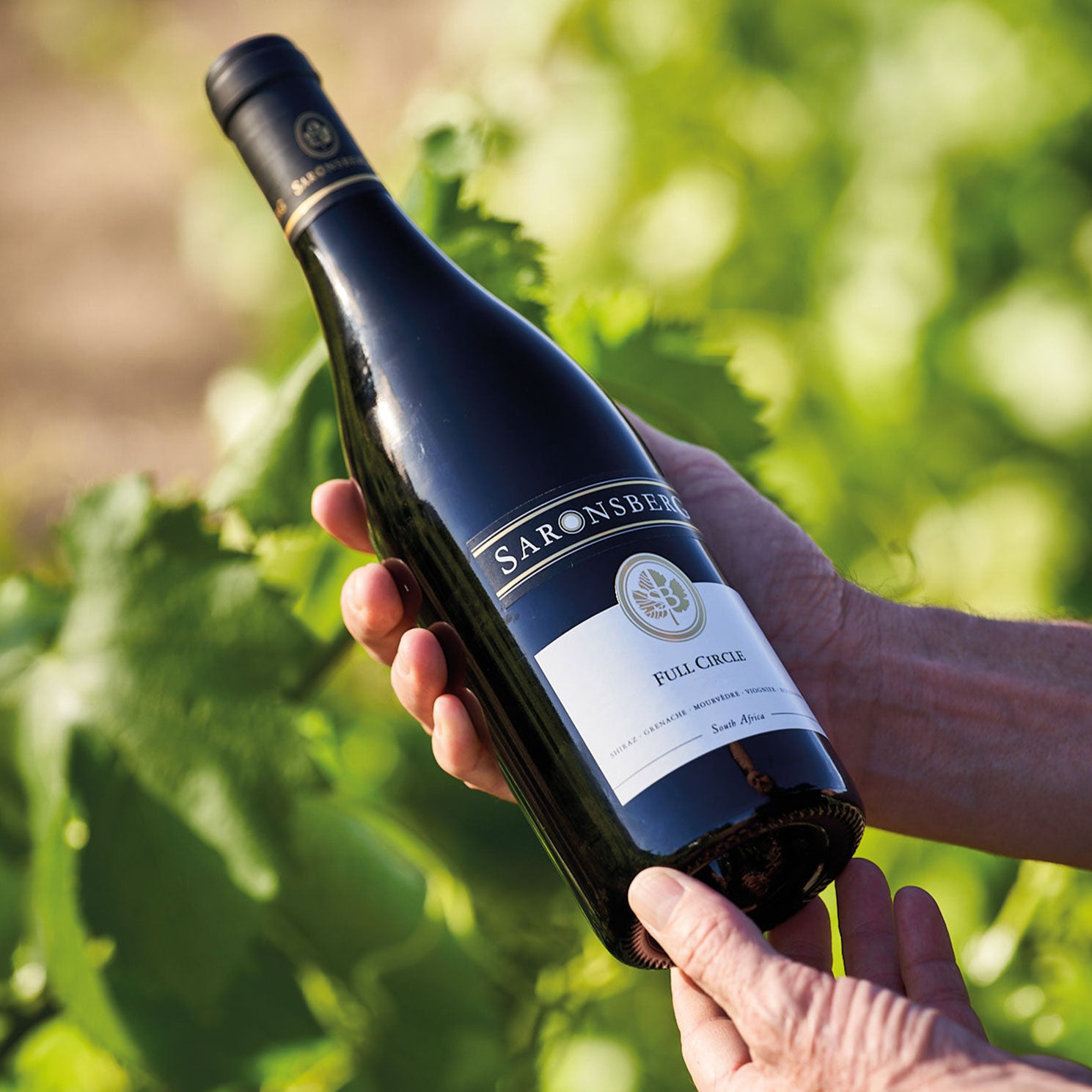 Vino rosso blend dal Sudafrica Saronsberg Full Circle