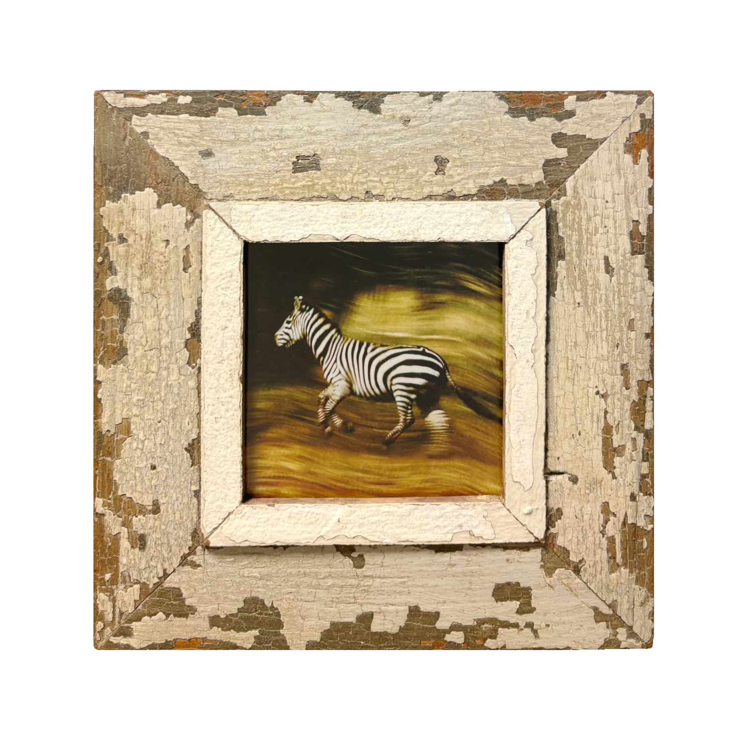 Cornice 28×28 per foto quadrate Cape Best