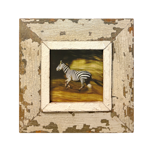 Cornice 28×28 per foto quadrate Cape Best