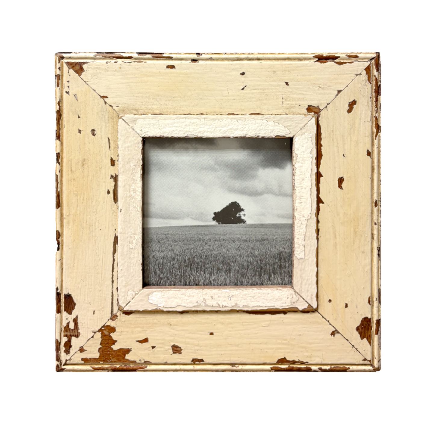 Cornice Cape Best "Ma l'albero resiste" con fotografia in bianco e nero