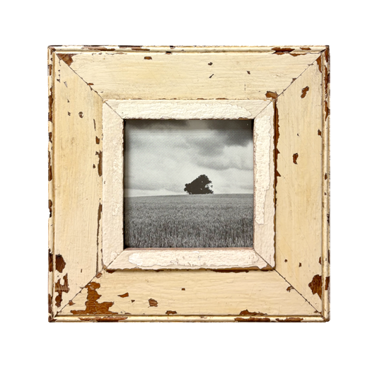 Cornice Cape Best "Ma l'albero resiste" con fotografia in bianco e nero