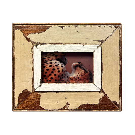 Cornice Ghepardo in legno Cape Best