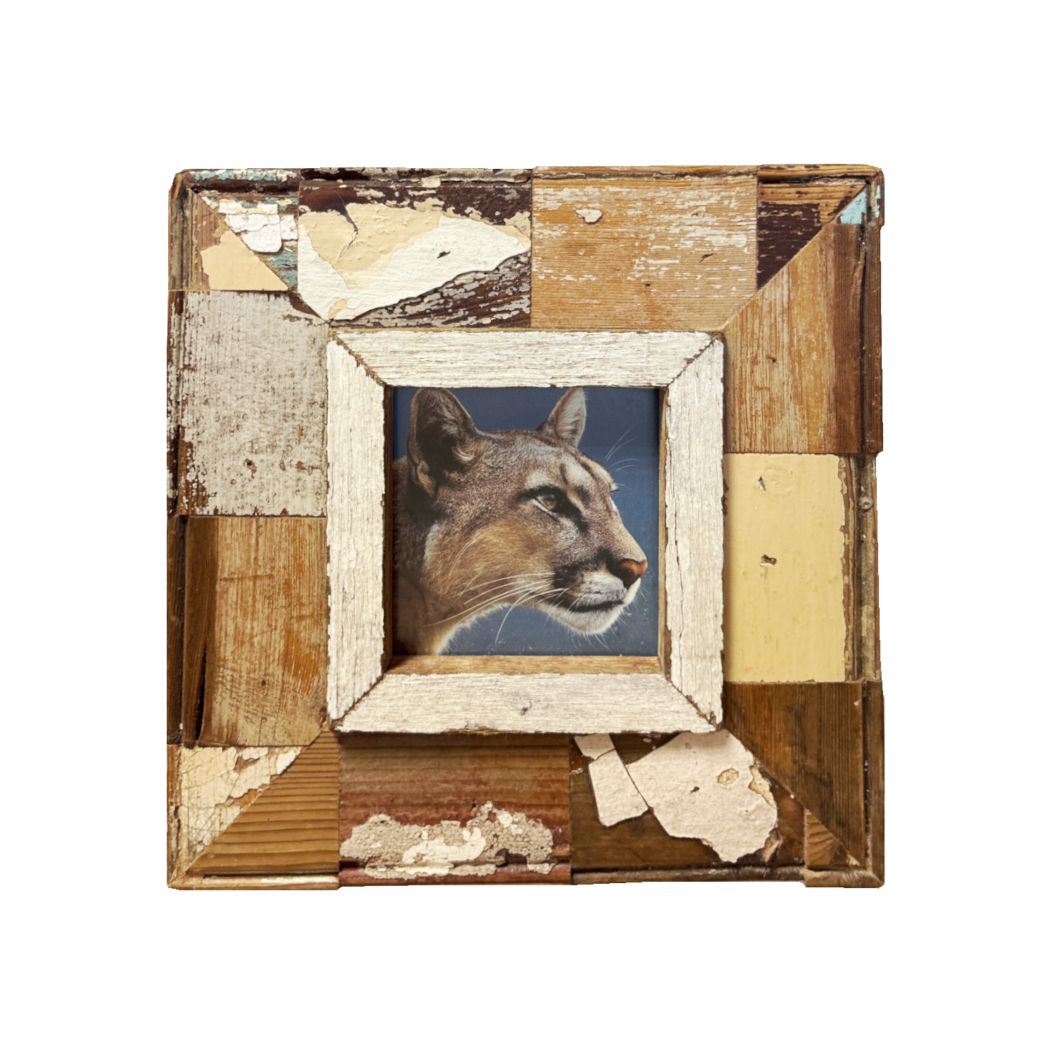 Cornice "Il Puma sono Io" 23x23 cm