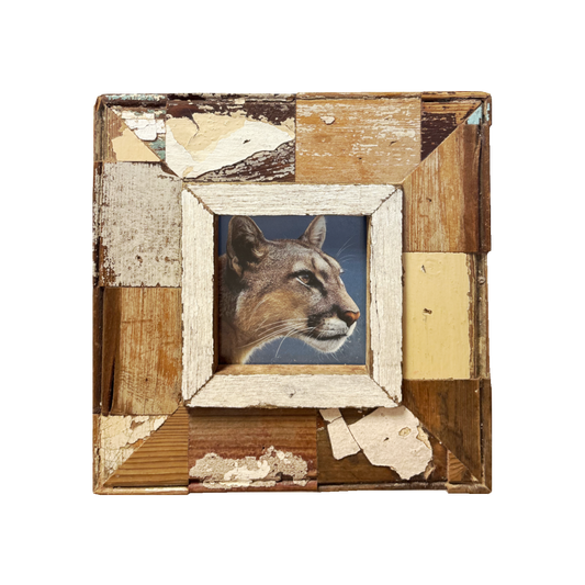 Cornice "Il Puma sono Io" 23x23 cm