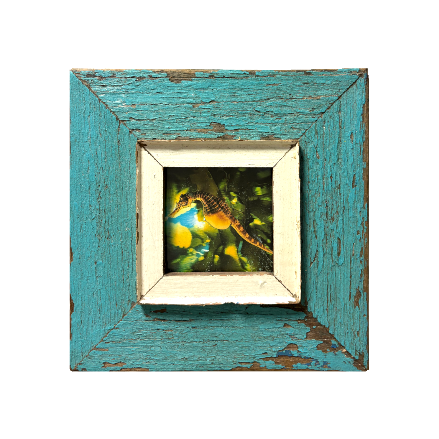 Cornice "Natura e colore" in legno d'epoca