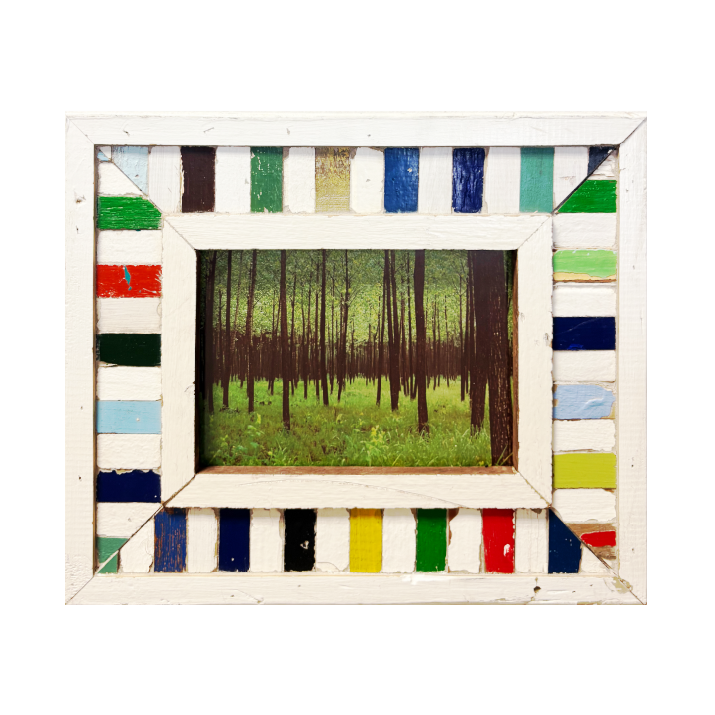 Cornice "Persi nel Verde" in legno colorato