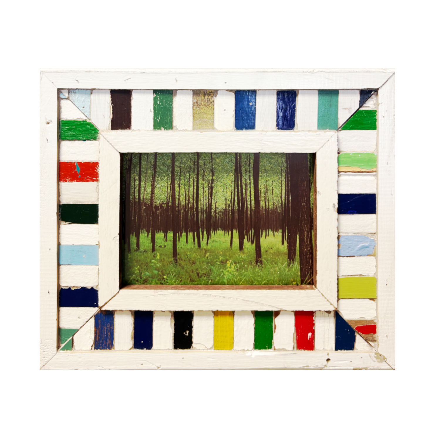 Cornice "Persi nel Verde" in legno colorato