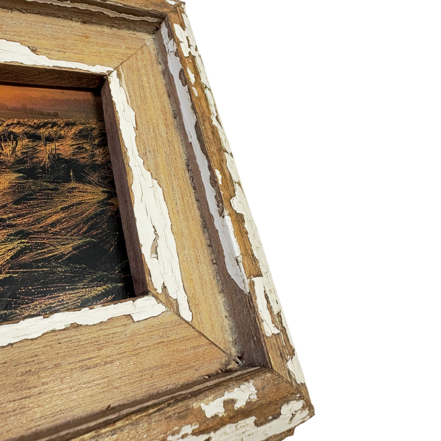 Cornice Rustico Dettaglio 