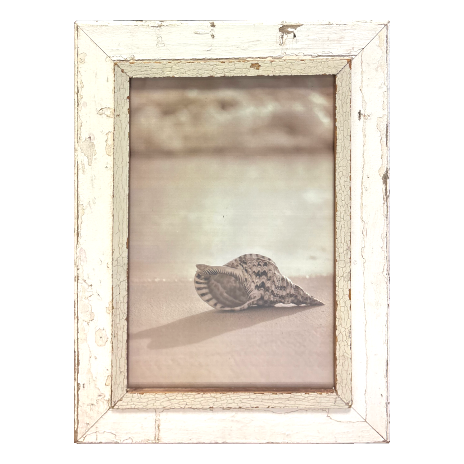 Cornice artigianale per stampe 30×42