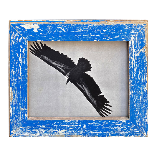 Cornice blu 28×33 per ritratti e disegni