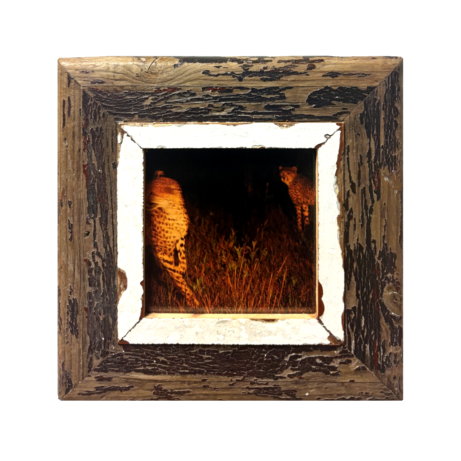 Cornice in legno scuro A5  Cape Best