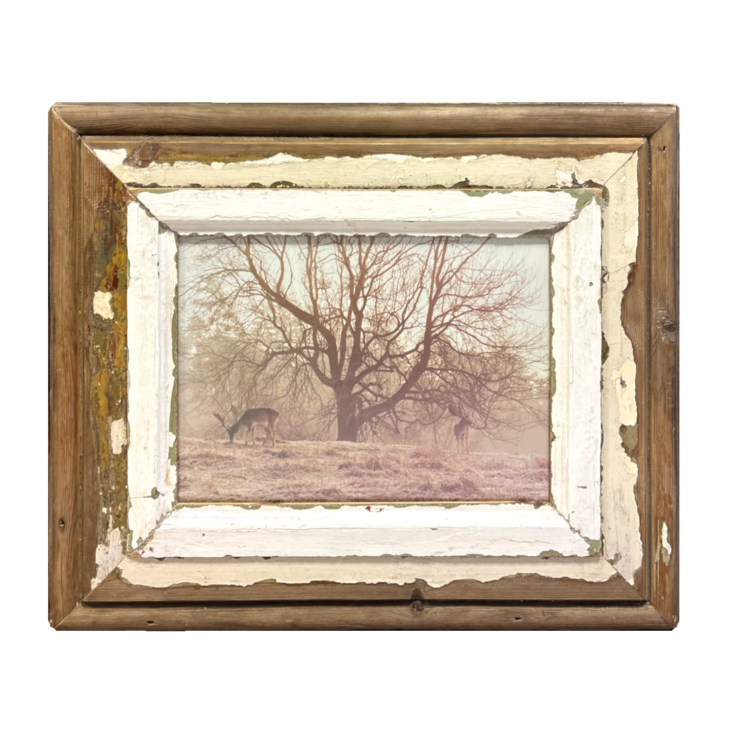 Cornice legno per immagini 26×36 Cape Best