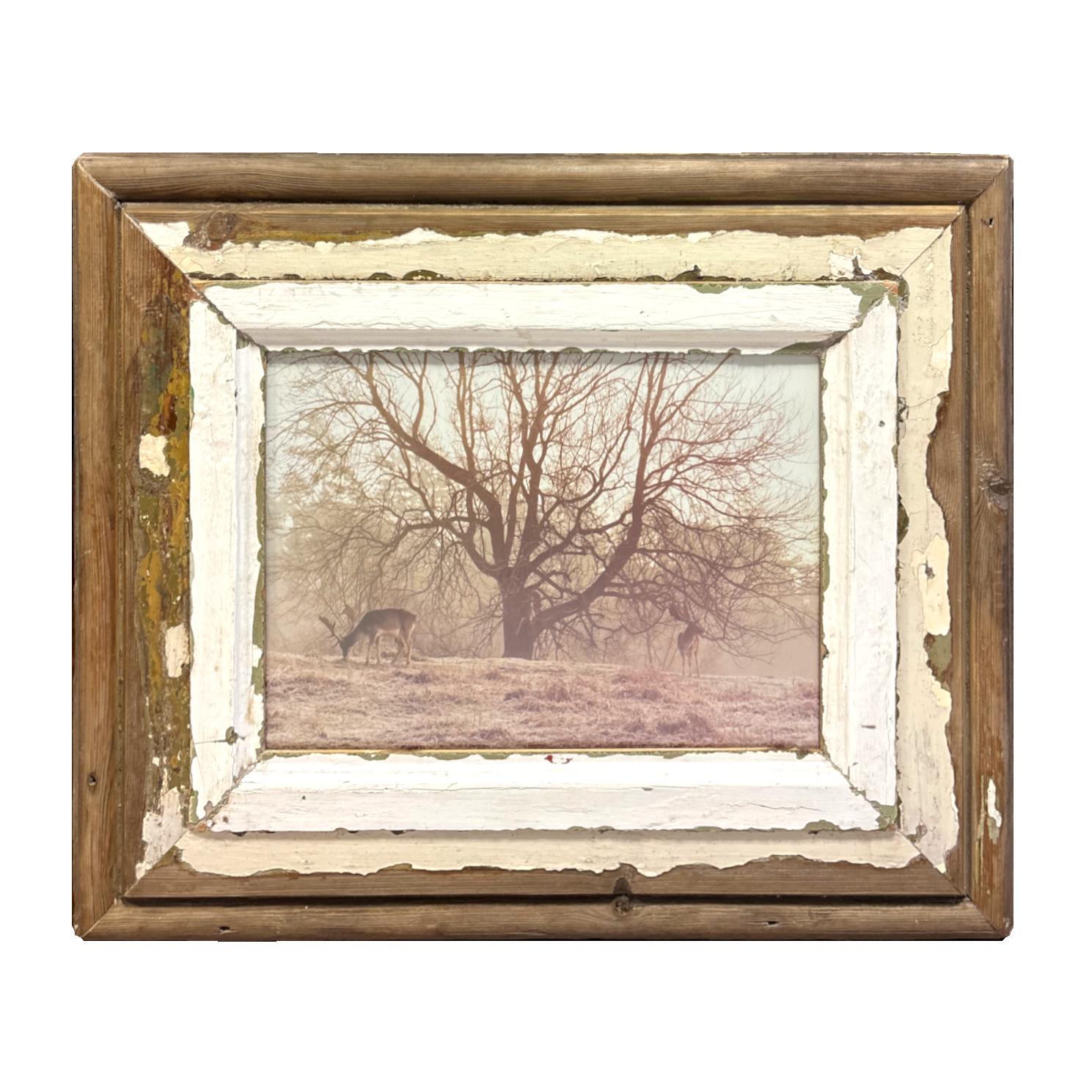 Cornice legno per immagini 26×36 Cape Best