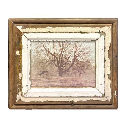 Cornice legno per immagini 26×36 Cape Best