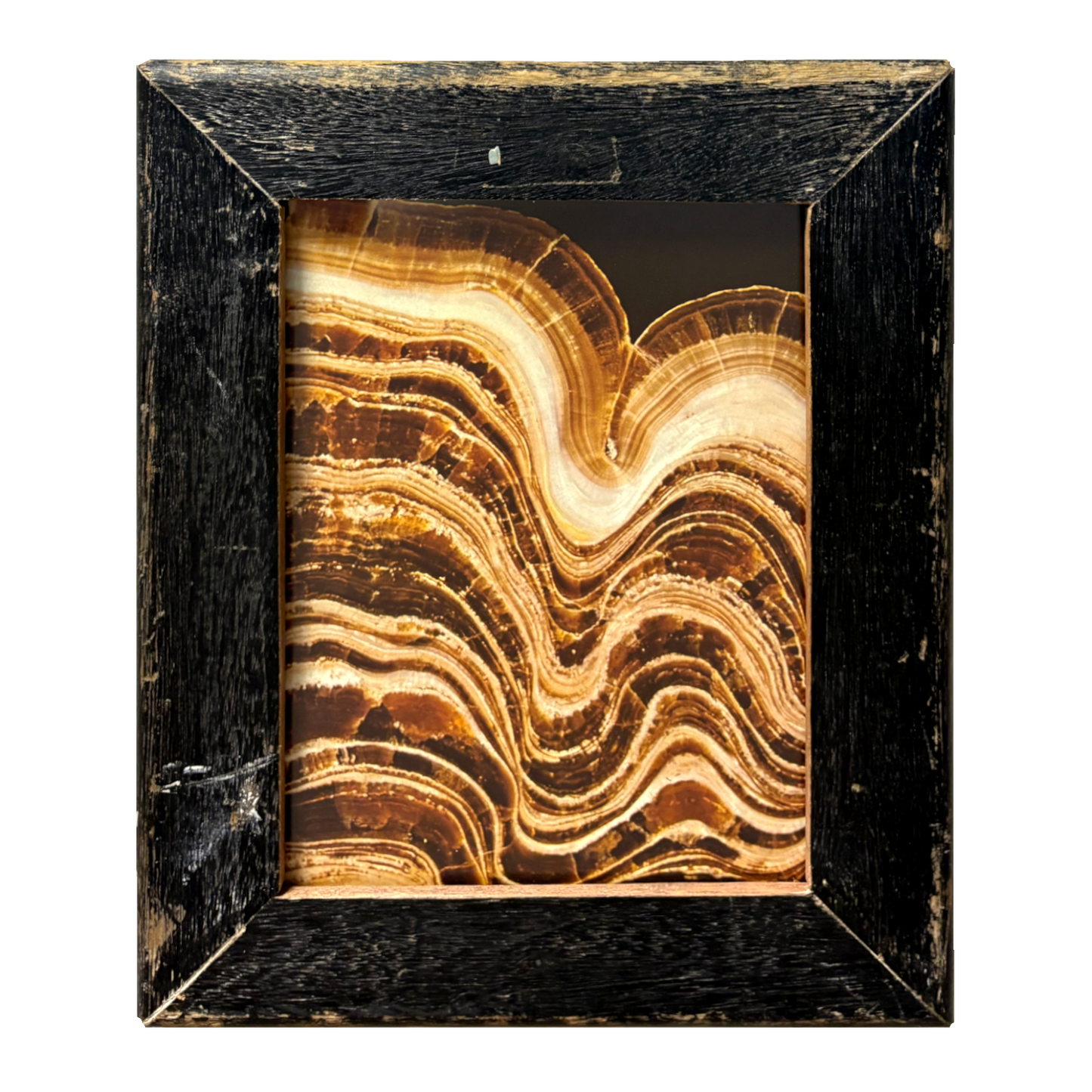 Cornice nera per fotografie 20×25 cm