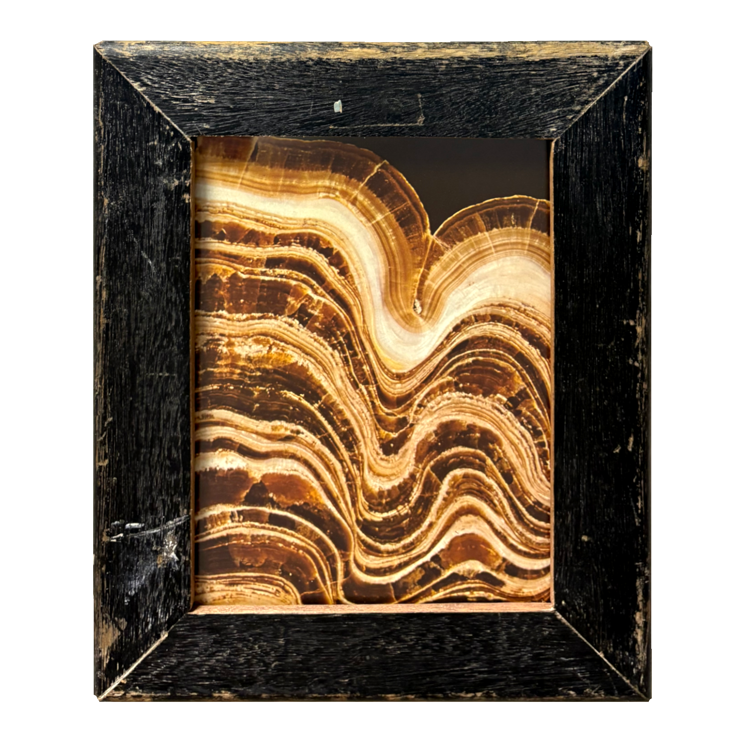 Cornice nera per fotografie 20×25 cm