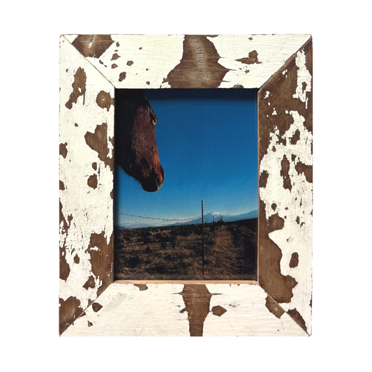 Cornice più foto Cavallo Cape Best