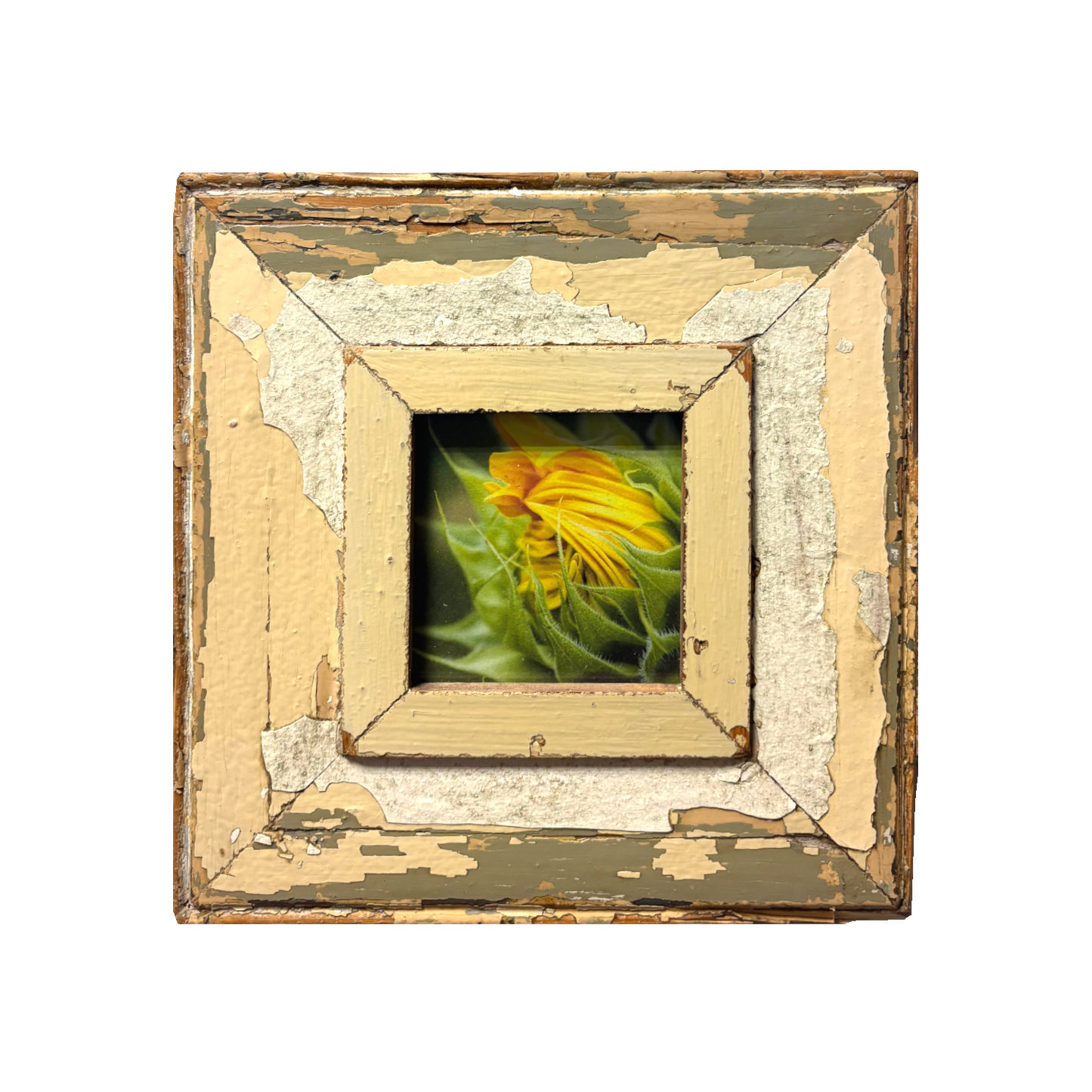 Cornice rustica quadrata 23x23 Cape Best