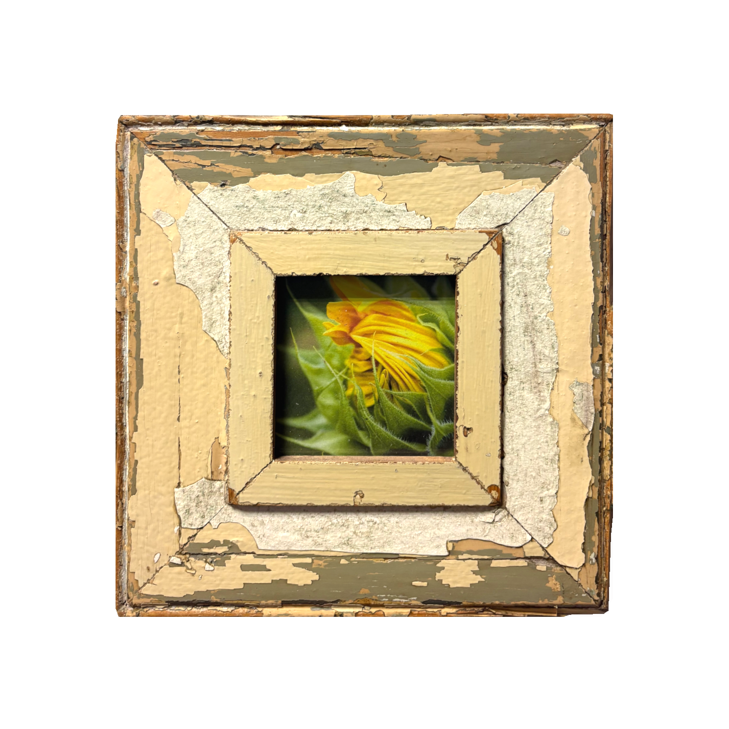 Cornice rustica quadrata 23x23 Cape Best