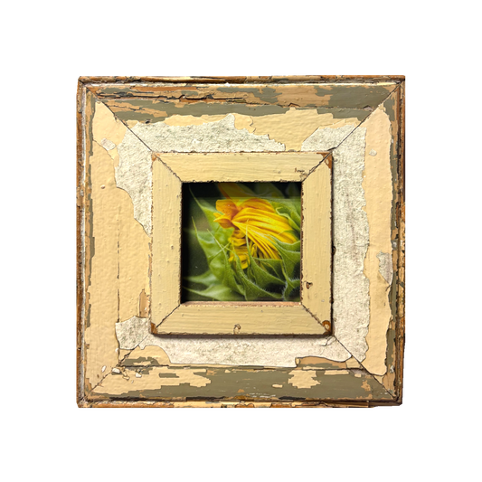 Cornice rustica quadrata 23x23 Cape Best