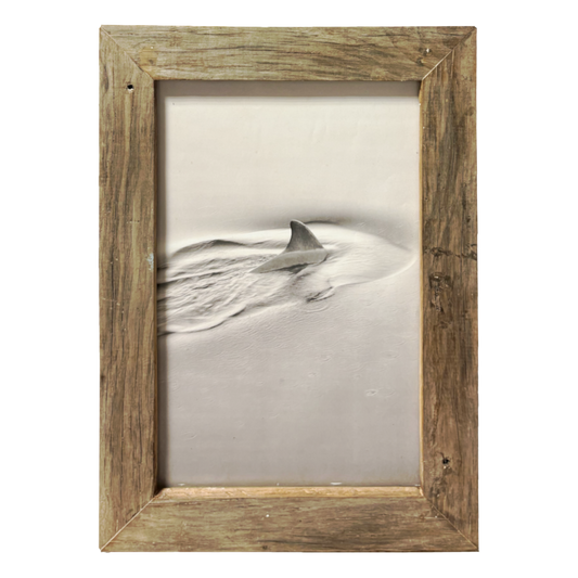 Fotografia bianco e nero di pinna dorsale di squalo in mare calmo dentro cornice legno marrone naturale con segni di uso, stile minimalista dark – 33×46 cm.