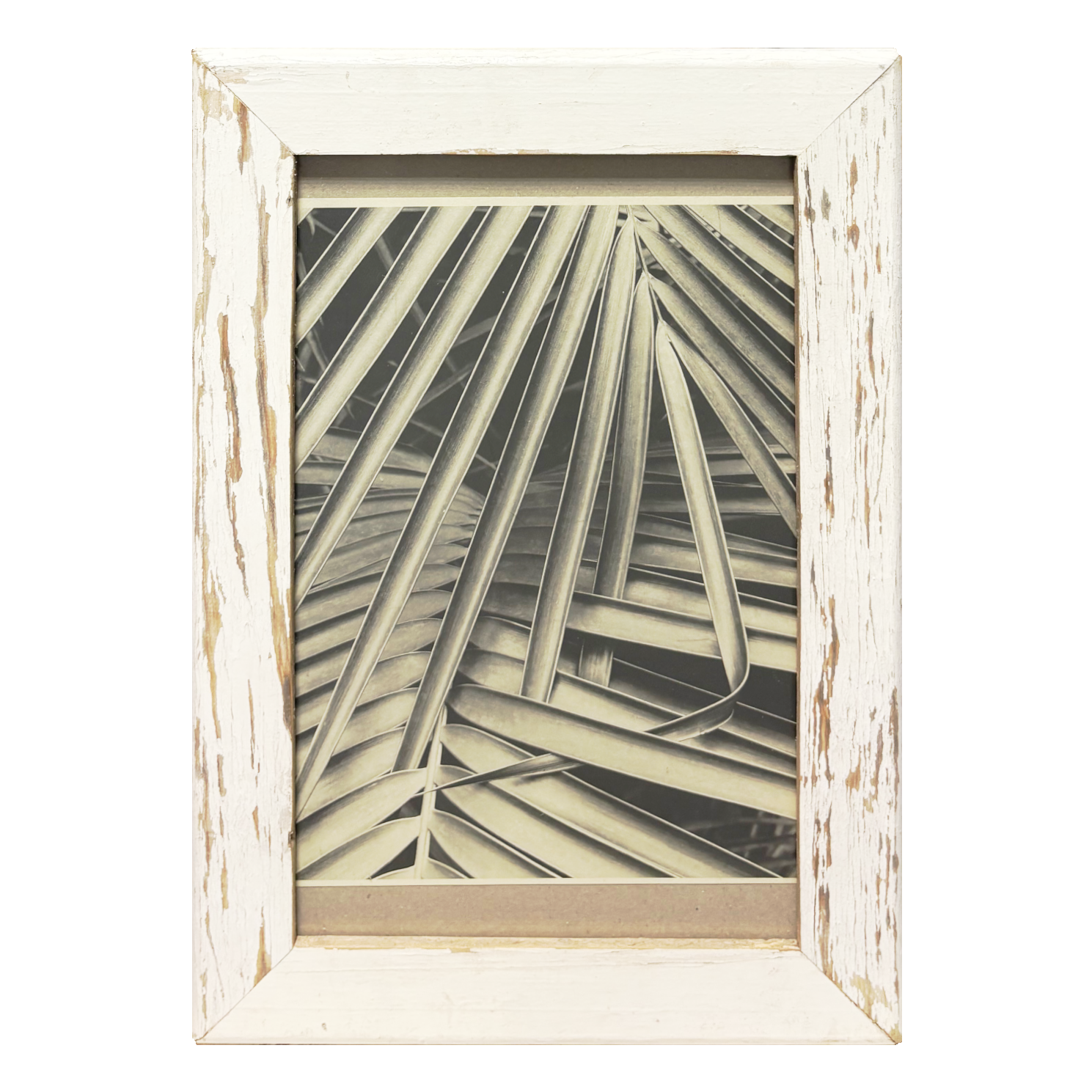 Geometrie Botaniche - Cornice Wabi Sabi legno antico