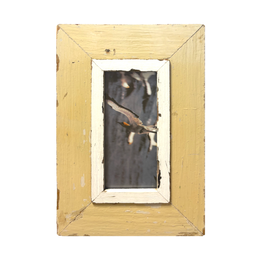 Libero ma in gruppo — Cornice Rustico legno antico