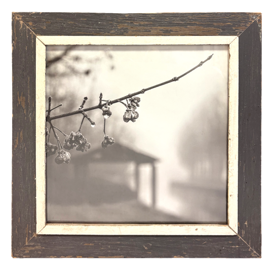Fotografia B&W "Margine d'Acqua": ramoscello in primo piano con gocce d'acqua sospese, sfondo paesaggio fluviale con capanno e alberi, incorniciata in legno naturale marrone con passe-partout bianco