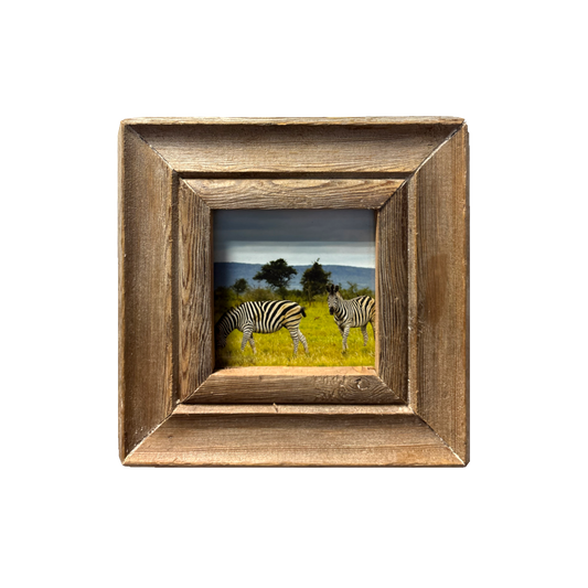 Porta foto quadrato 18x18 con fotografia Zebre