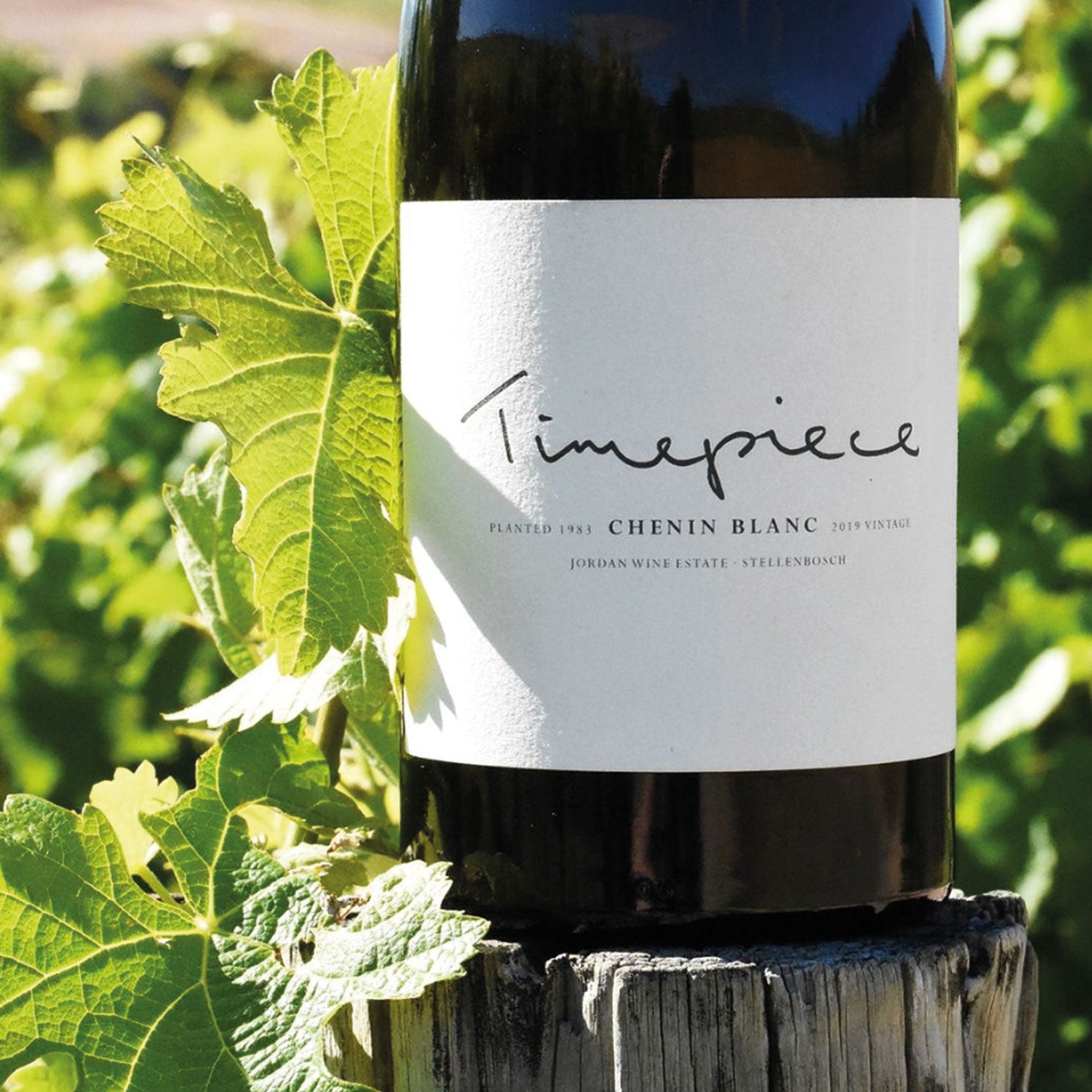 Vino sudafricano premiato chenin blanc Stellenbosch