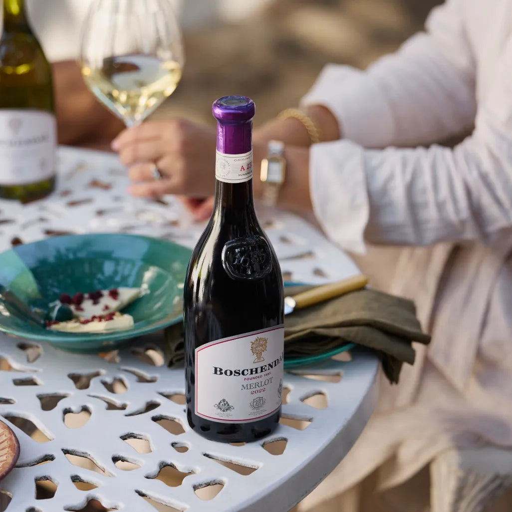 Boschendal Merlot 1685_Vino rosso del Sudafrica
