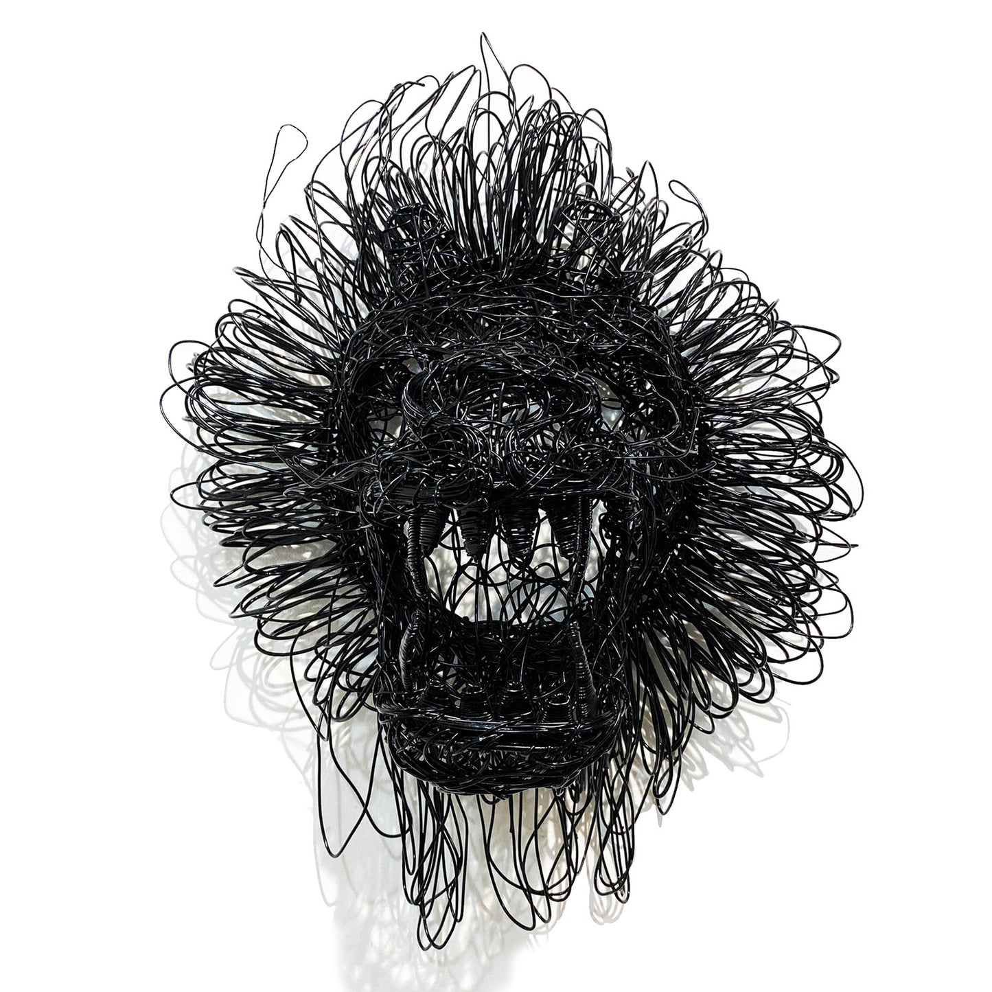 Black Lion Head