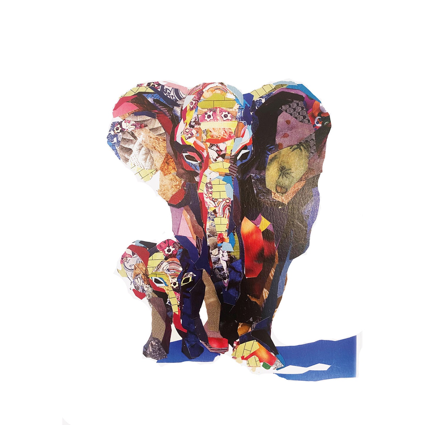 Zoe Mafham collage animale elefanti a colori Cape Best