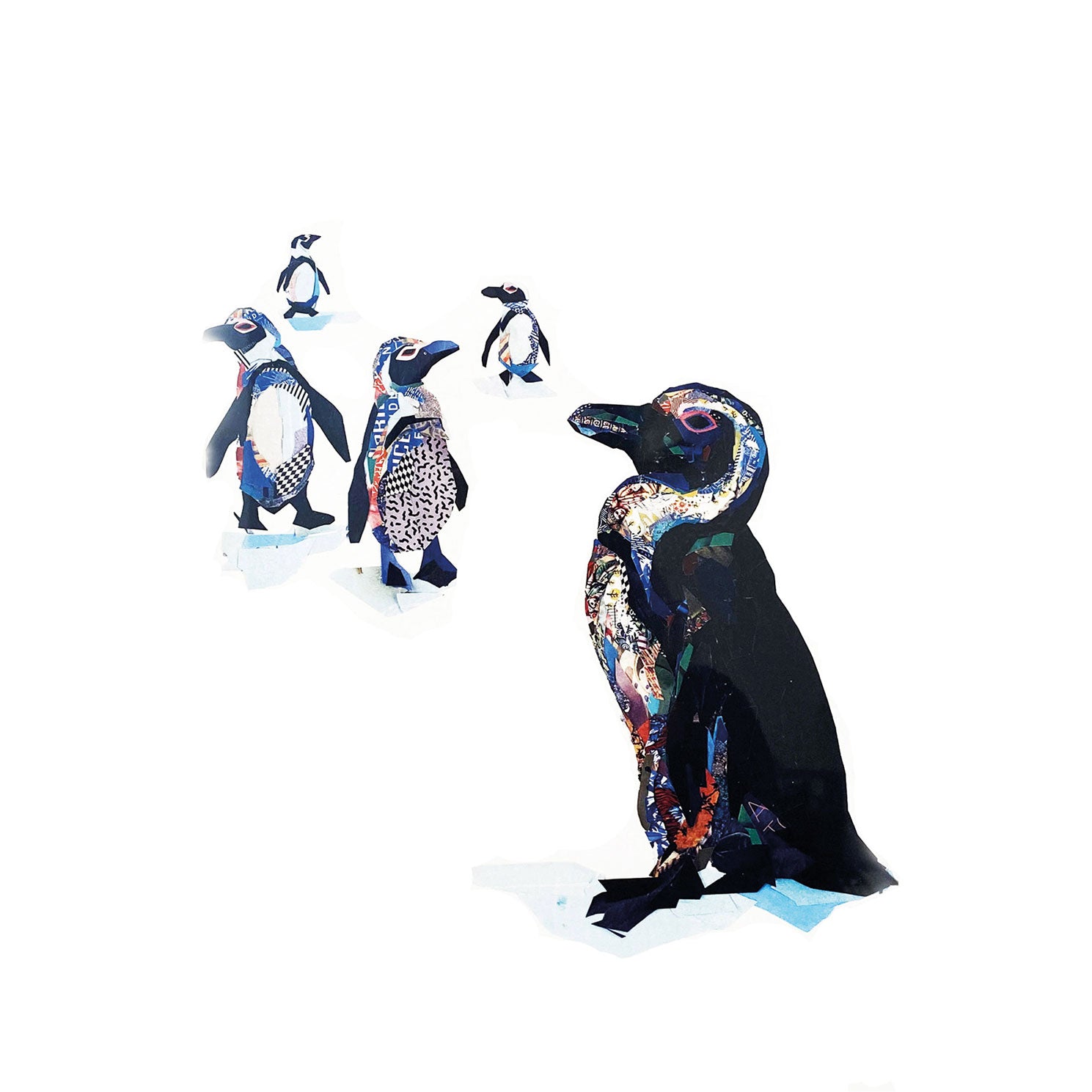 Zoe Mafham collage animali pinguini a colori Cape Best